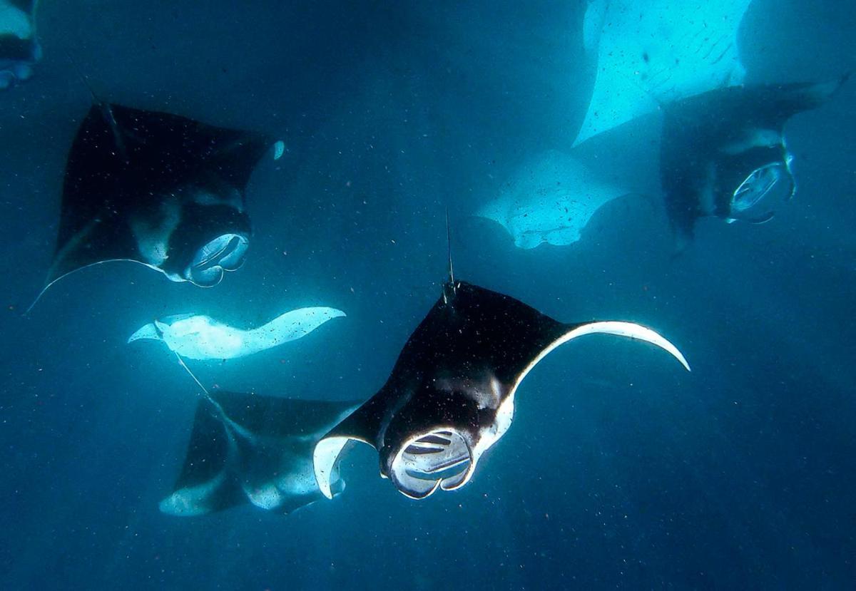 Manta Reserve Maalhos  Ngoại thất bức ảnh