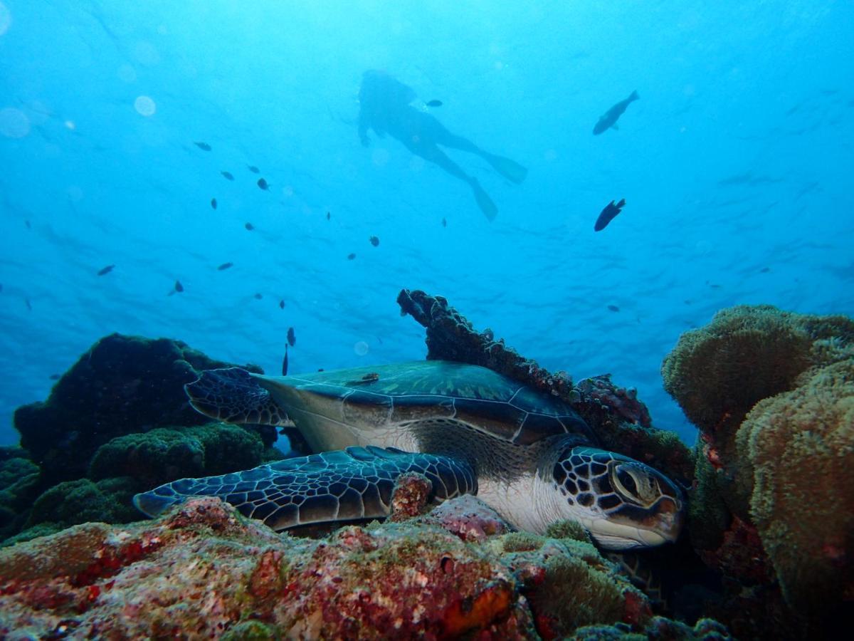 Manta Reserve Maalhos  Ngoại thất bức ảnh